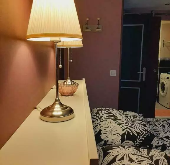 T2 Centre Ville Vue Faron 40m2 En Zone Pietonne 4ème étage