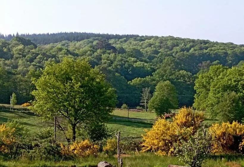 Les Chalets De La Vialette