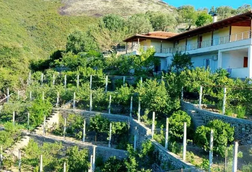 Philoxenia Guest House