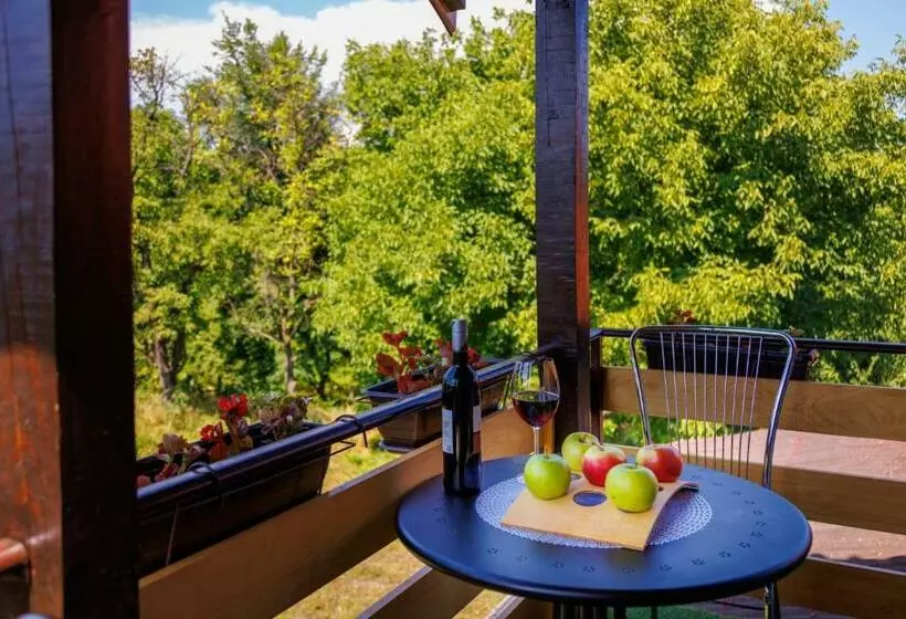 Apartmani Nina