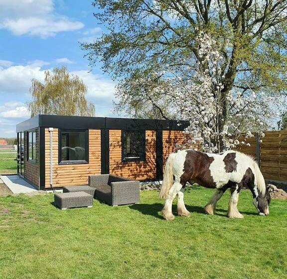 Houten Huisje Tussen Paarden
