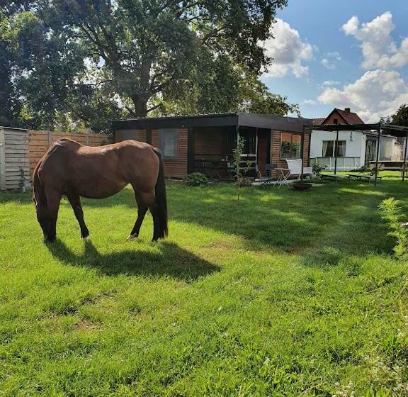 Houten Huisje Tussen Paarden