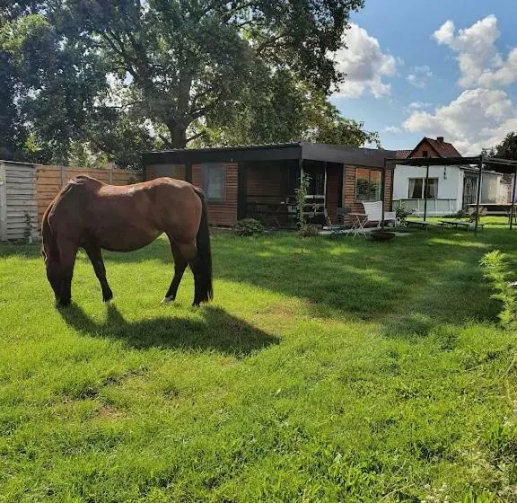 Houten Huisje Tussen Paarden