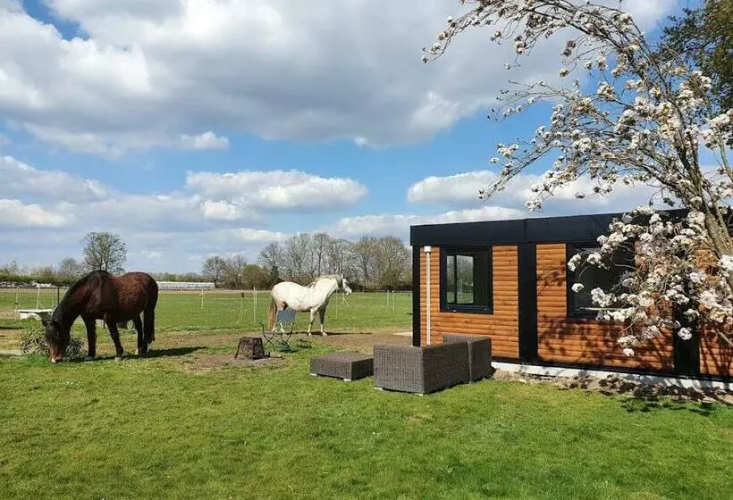 Houten Huisje Tussen Paarden