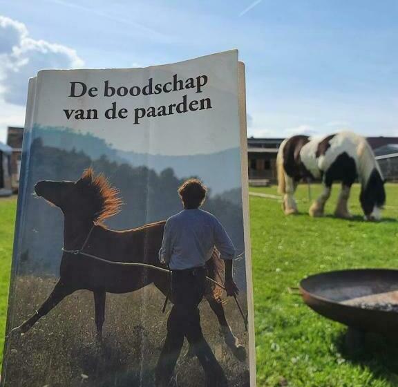 Houten Huisje Tussen Paarden
