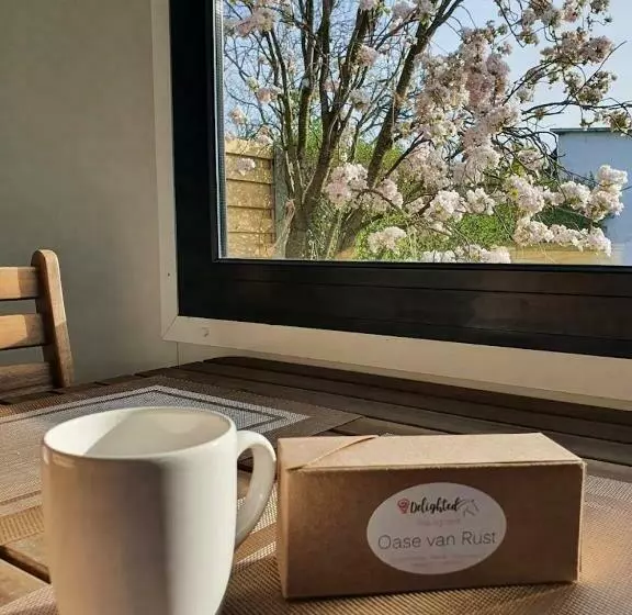 Houten Huisje Tussen Paarden