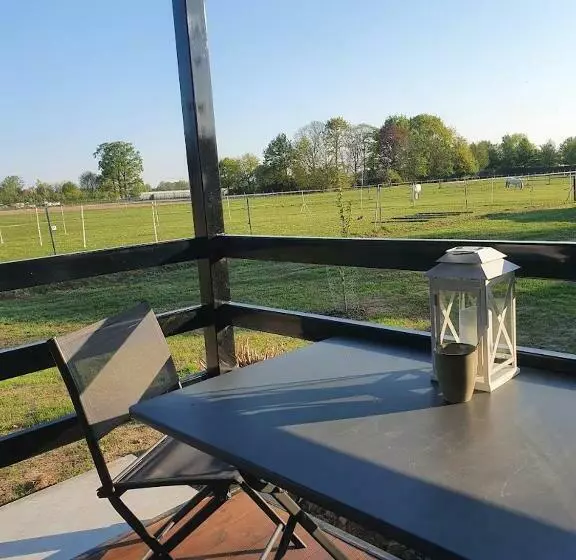 Houten Huisje Tussen Paarden