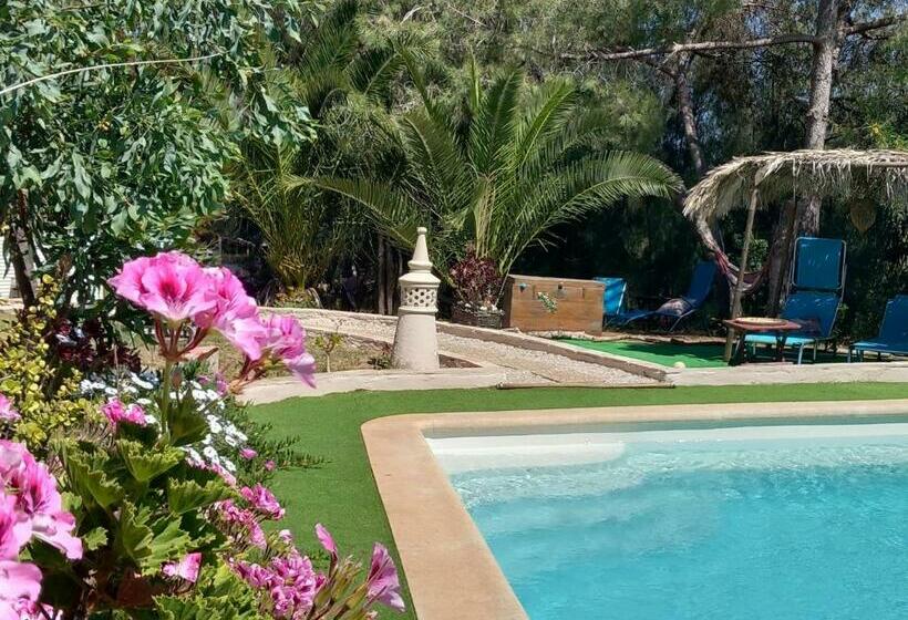 Koala Valdareina, Piscine Chauffée, Bénagil Carvoeiro