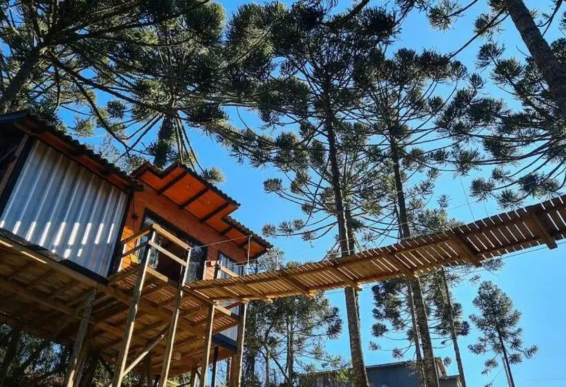 Cambará Ecomoradas