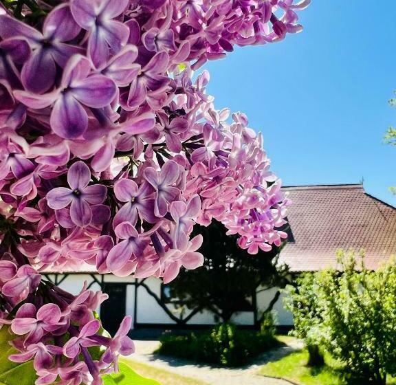 Ferienwohnung Zur Rebe