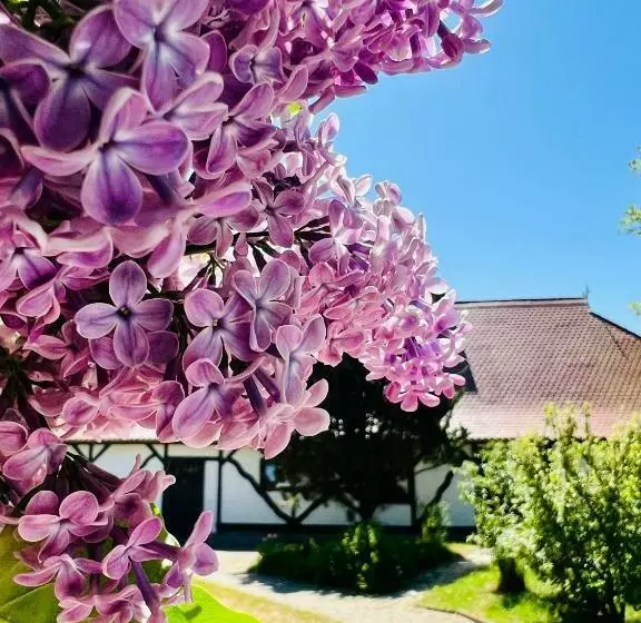 Ferienwohnung Zur Rebe
