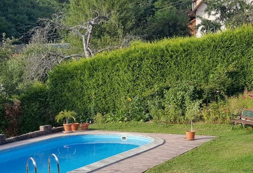 Ferienwohnung Lahr Im Schwarzwald ,120 Qm, Sehr Ruhig, Nahe Europa Park Rust