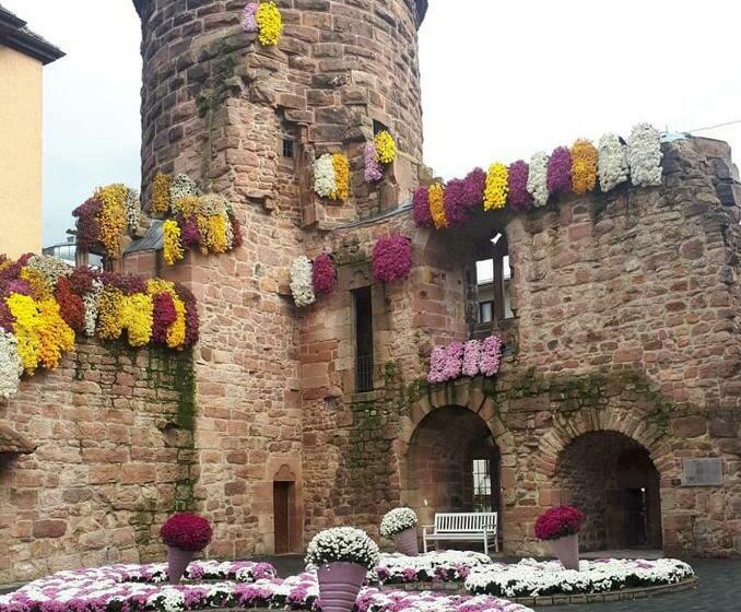Ferienwohnung Lahr Im Schwarzwald ,120 Qm, Sehr Ruhig, Nahe Europa Park Rust