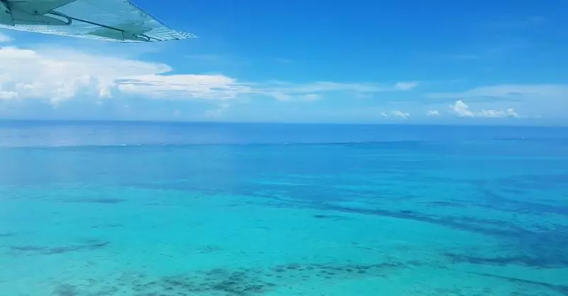 호텔 Royal Caribbean Resort