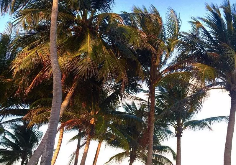 호텔 Royal Caribbean Resort