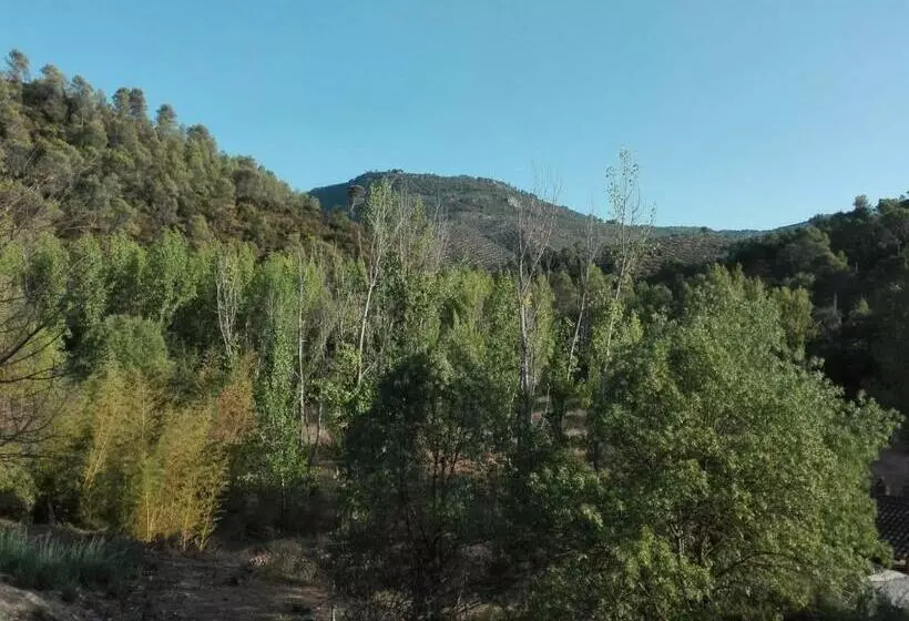 Huerta De José Miguel