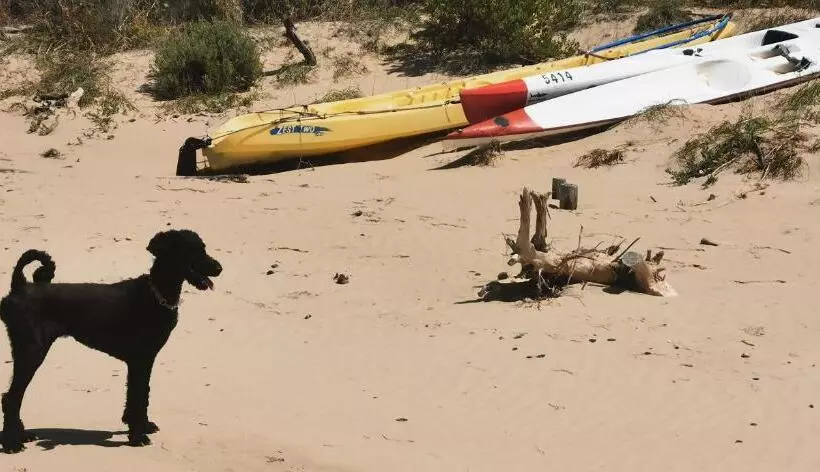 River View Cottage   At The Breede   Load Shedding Free