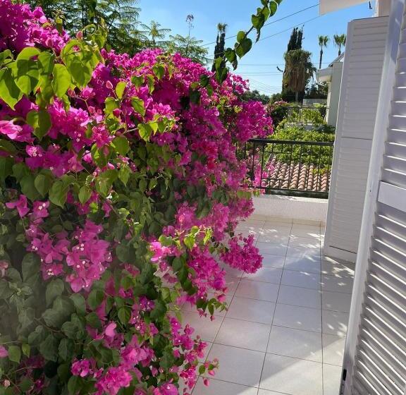 Cyprus Beachfront Paradise Villa Private Pool