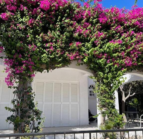 Cyprus Beachfront Paradise Villa Private Pool