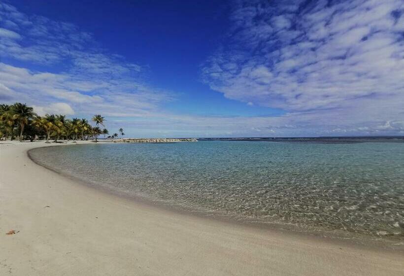 T2 Tagua   Sainte Anne Centre   Accès Plage à Pied