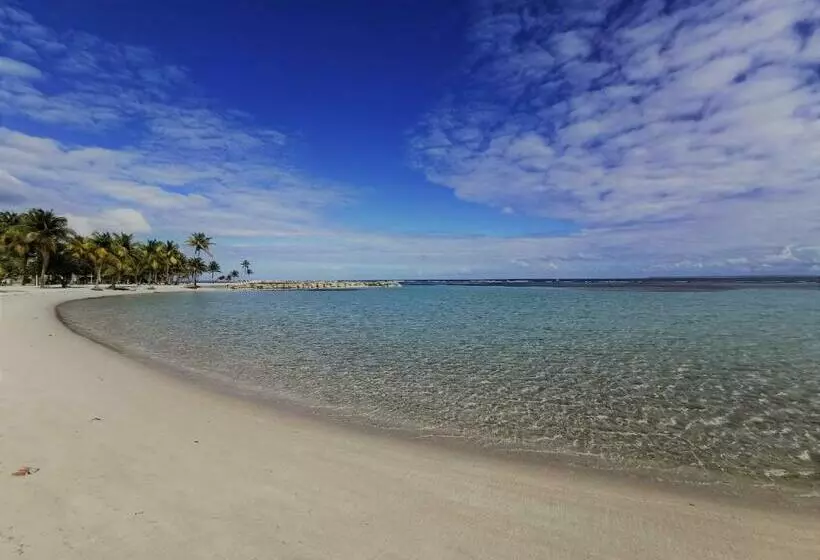 T2 Tagua   Sainte Anne Centre   Accès Plage à Pied