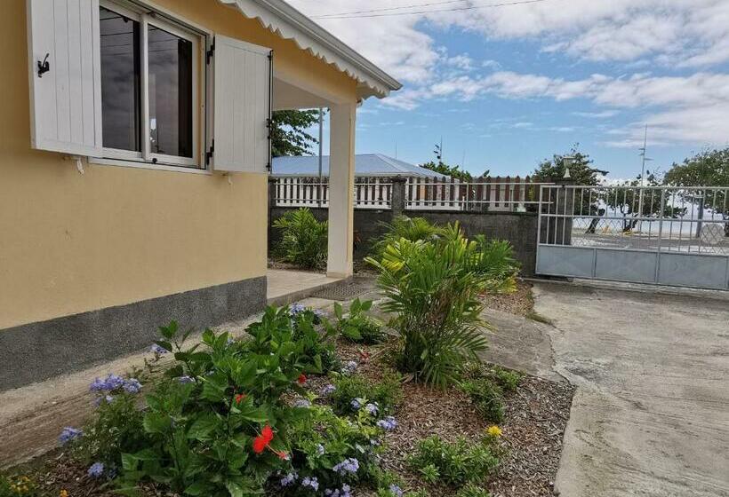 T2 Tagua   Sainte Anne Centre   Accès Plage à Pied