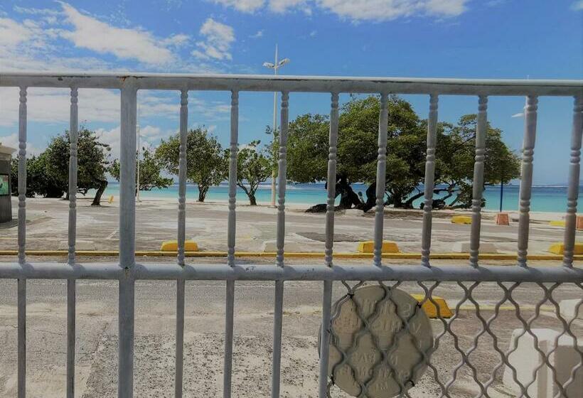 T2 Tagua   Sainte Anne Centre   Accès Plage à Pied