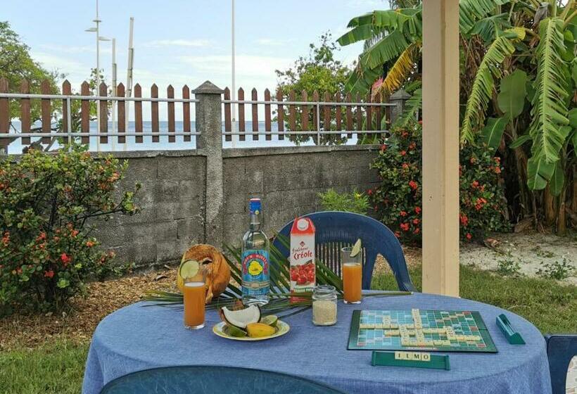 T2 Tagua   Sainte Anne Centre   Accès Plage à Pied