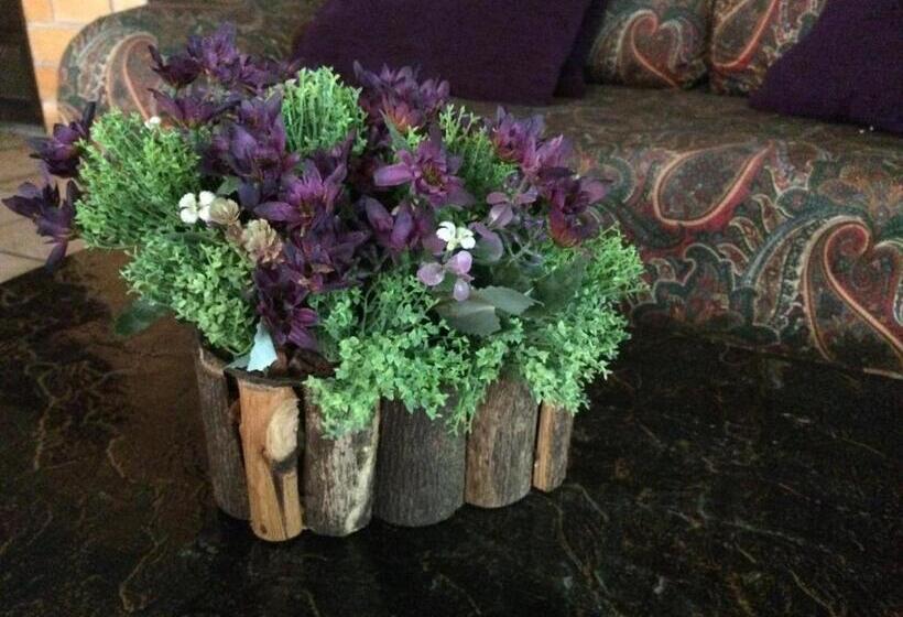 Casa Dona Hilda Blumenau