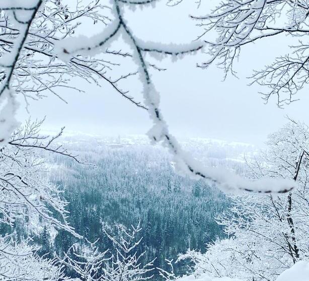 Ferienwohnung Frankenwald