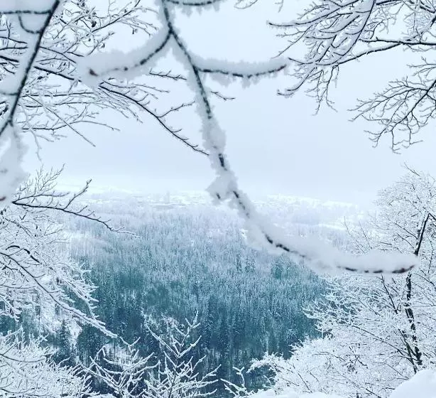 Ferienwohnung Frankenwald