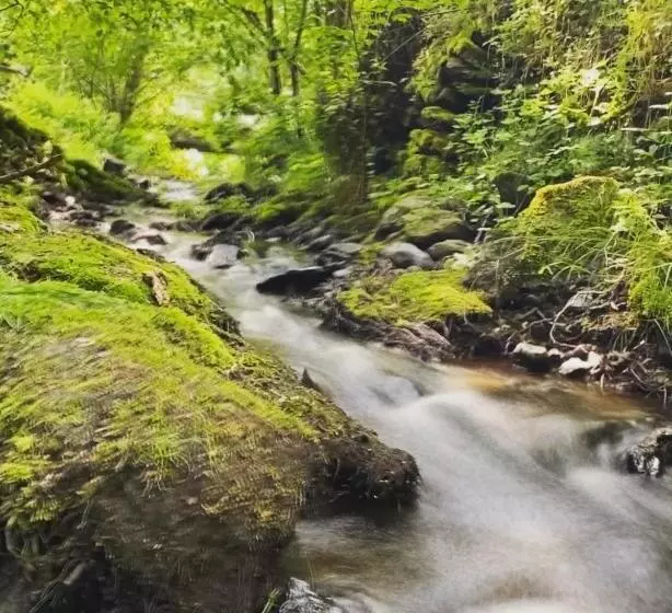 Ferienwohnung Frankenwald