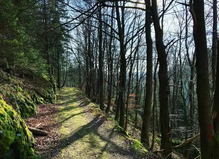 Ferienwohnung Frankenwald