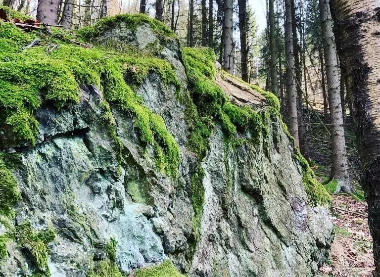 Ferienwohnung Frankenwald