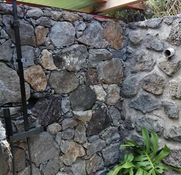 Leu Coin De Paradis