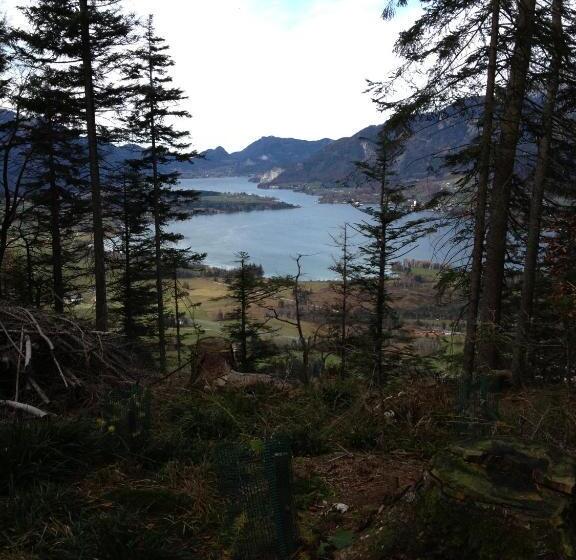 Panorama Appartement