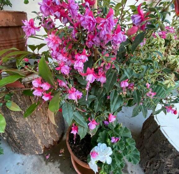 Great Rooms In An Uber Cool Flat! London Bridge