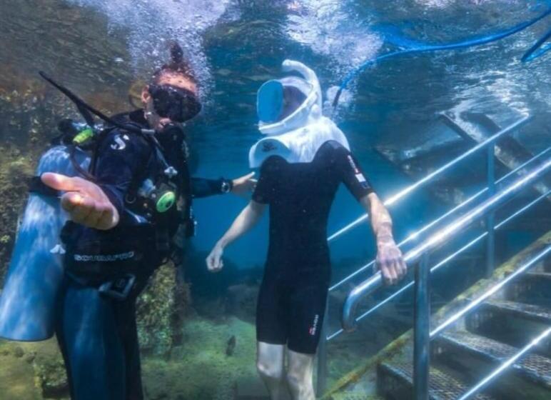 Luxotel Aqaba Beach Resort & Spa Only 15 Years Plus