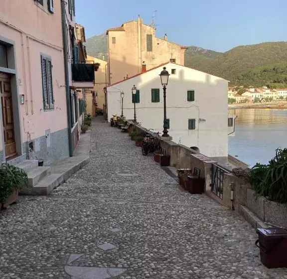 Ortensia Al Cotone