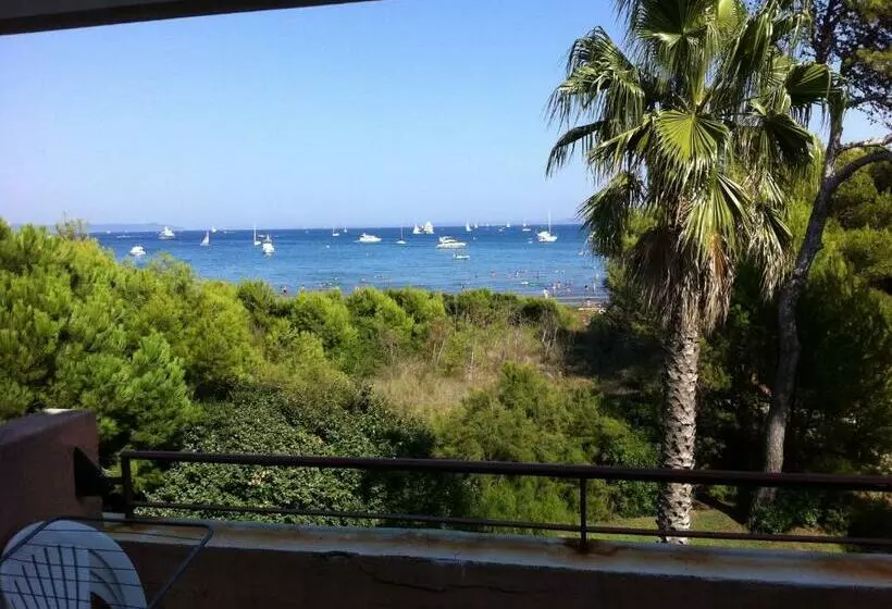 T2 Vue Mer 50m De La Plage à Giens