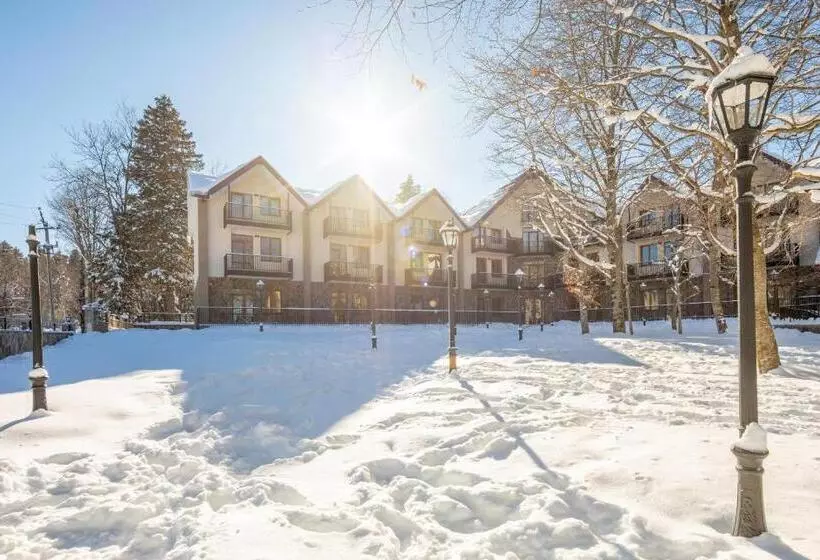 هتل Komorebi Bakuriani Resort