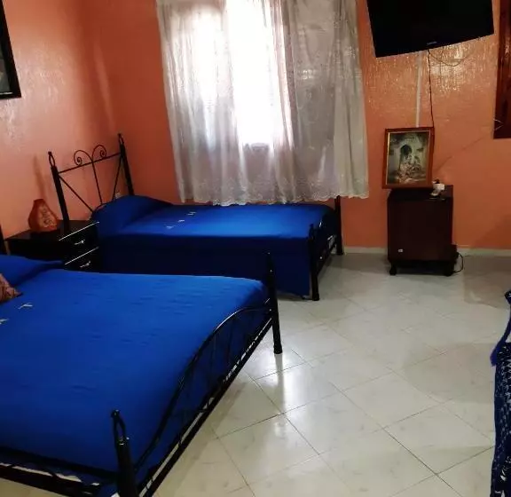 酒店 Hôtel Tijani