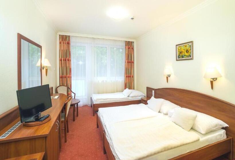 ホテル Hungarospa Thermal