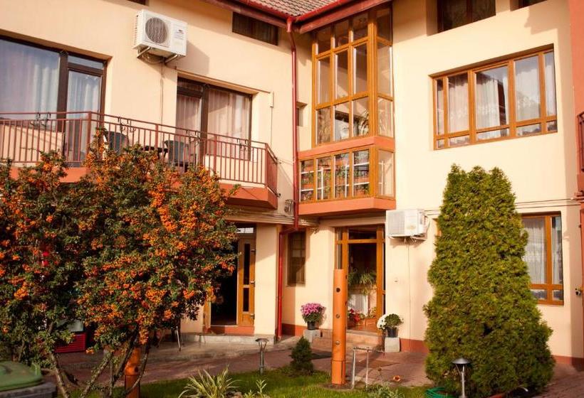 Hotel Pensiunea Vlad Home