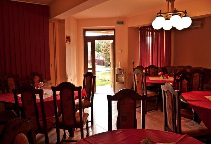 Hotel Pensiunea Vlad Home