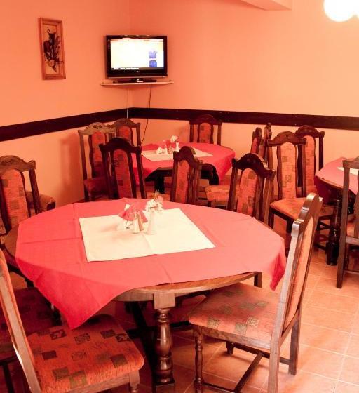 Hotel Pensiunea Vlad Home