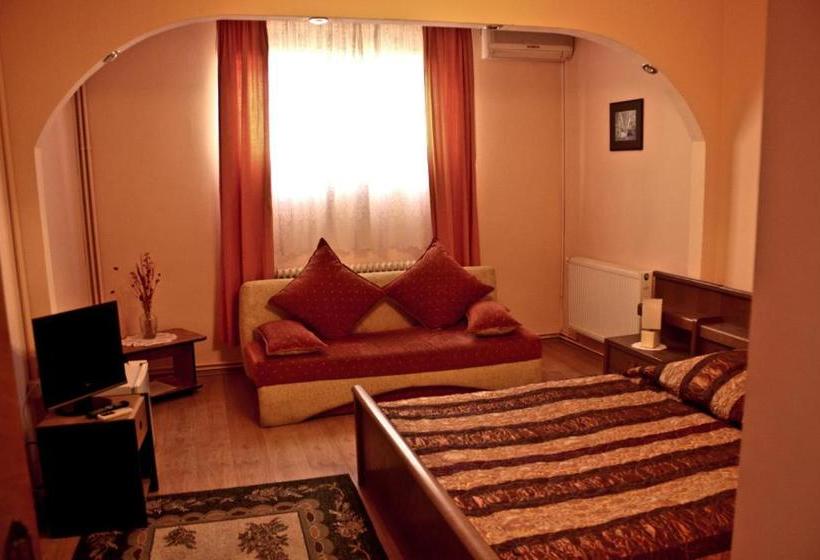 Hotel Pensiunea Vlad Home