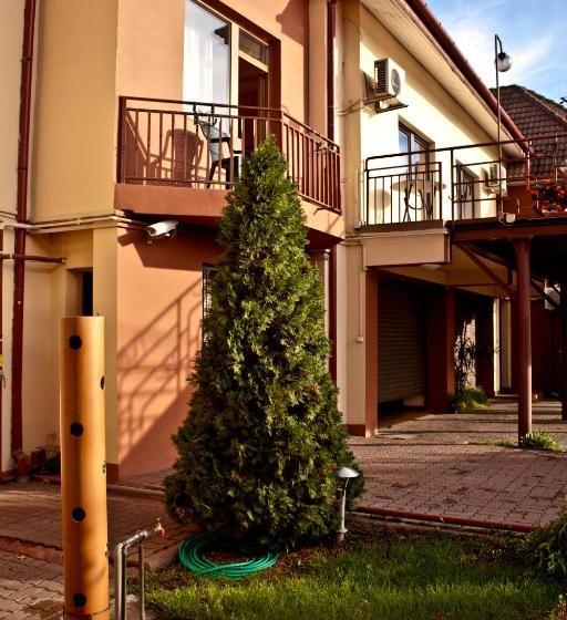 Hotel Pensiunea Vlad Home