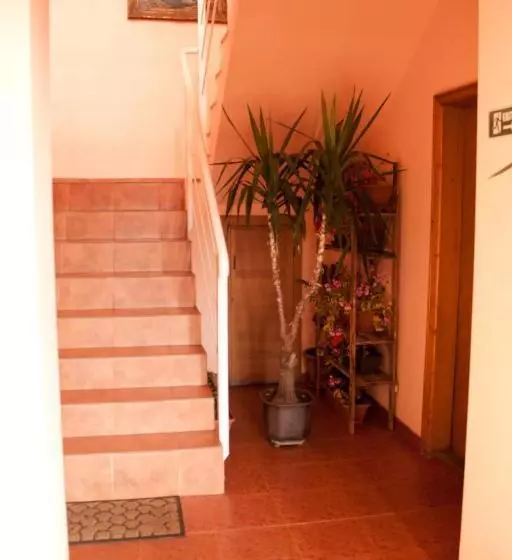 호텔 Pensiunea Vlad Home