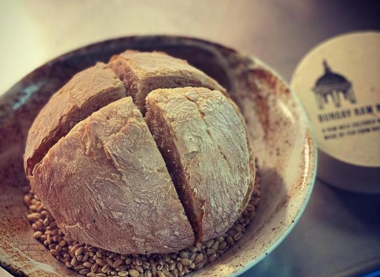 Herberge Mjpattheshepherds